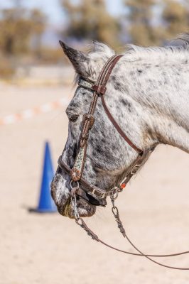 LightRider_Bitless_Adapter_Western_Headstall LightRider Bitless Adapter Western Headstall