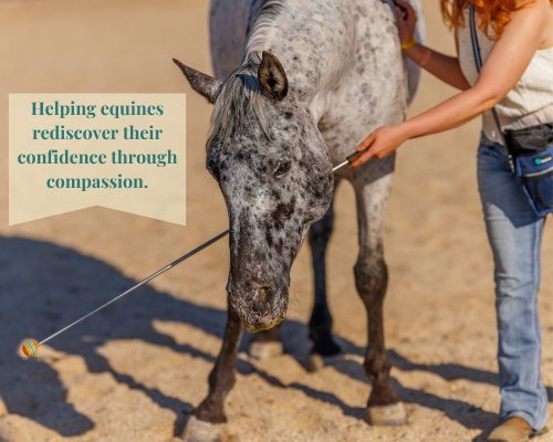 Bio Picture #2 Positive Reinforcement Trainer using a target.