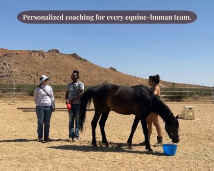Bio Picture #3 Positive Reinforcement Trainer coaching a group in person.