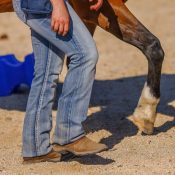 Crockett_Matching_Steps Human and horse matching steps