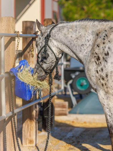 Padopani_Eating_at_Station